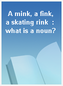 A mink, a fink, a skating rink  : what is a noun?