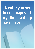 A colony of seals : the captivating life of a deep sea diver