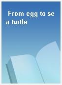 From egg to sea turtle