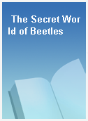 The Secret World of Beetles