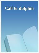 Calf to dolphin