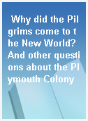 Why did the Pilgrims come to the New World? And other questions about the Plymouth Colony