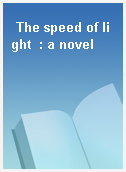 The speed of light  : a novel
