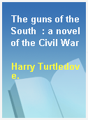 The guns of the South  : a novel of the Civil War
