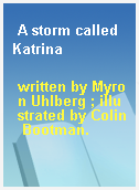 A storm called Katrina