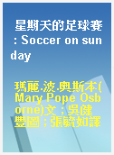 星期天的足球賽 : Soccer on sunday
