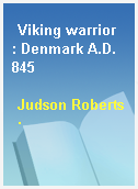 Viking warrior  : Denmark A.D. 845