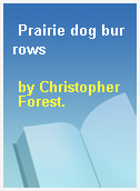 Prairie dog burrows