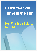 Catch the wind, harness the sun