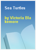 Sea Turtles