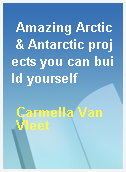 Amazing Arctic & Antarctic projects you can build yourself