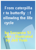 From caterpillar to butterfly  : following the life cycle