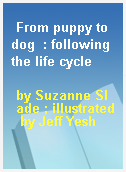 From puppy to dog  : following the life cycle