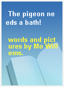 The pigeon needs a bath!