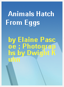 Animals Hatch From Eggs