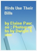 Birds Use Their Bills