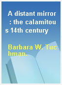 A distant mirror  : the calamitous 14th century