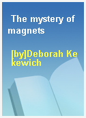 The mystery of magnets