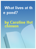 What lives at the pond?