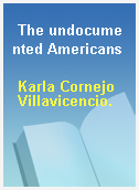 The undocumented Americans
