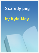 Scaredy pug