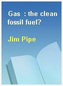 Gas  : the clean fossil fuel?
