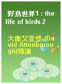 野鳥世界1 : the life of birds 2