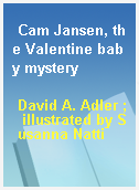 Cam Jansen, the Valentine baby mystery