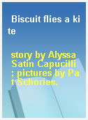 Biscuit flies a kite