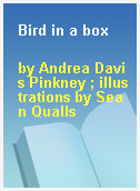 Bird in a box