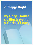 A foggy flight
