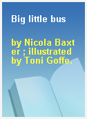 Big little bus